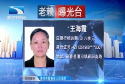 湖北最新爆料案件新闻,惊天大案震惊全国，案情细节披露！