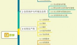 青年止水爆料视频大全集,揭秘幕后真相与精彩瞬间