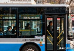 石家庄公交最新爆料,最新爆料揭示线路调整与优化