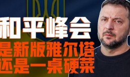 爆料美国外交官视频大全,视频大全中的真实与争议