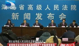 湖北最新爆料案件新闻,惊天大案震惊全国，案情细节披露！